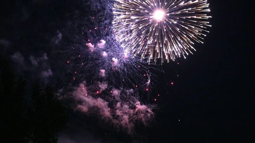 France : plusieurs préfectures interdisent les feux d’artifice pour le 14 Juillet en raison de la canicule.