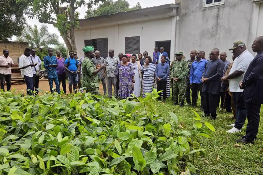 Bénin  : 4850 plants de café et cacao pour relancer les plantations sinistrées
